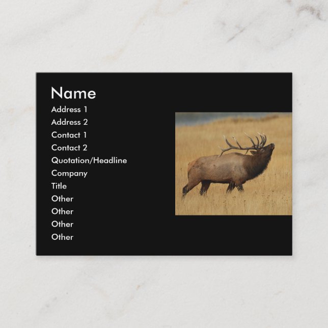 profile or business card, elk card (Front)