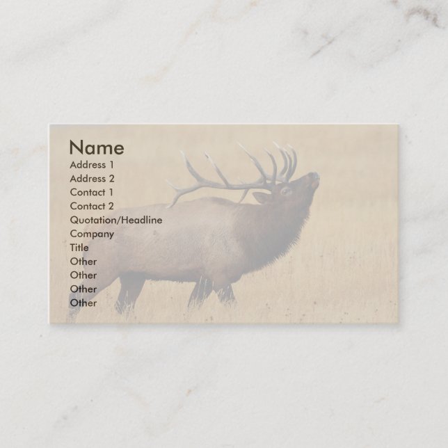 profile or business card, elk card (Front)