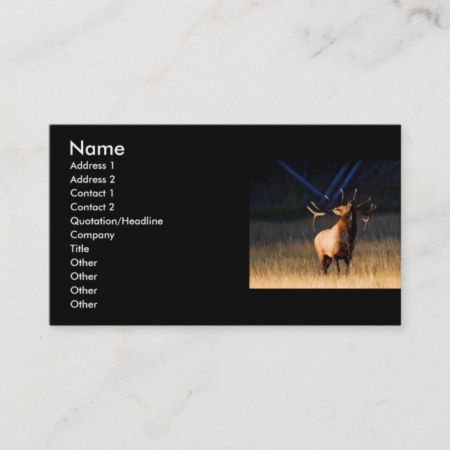 profile or business card, elk card (Front)