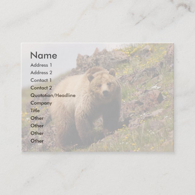 profile or business card, grizzly bear business card (Front)