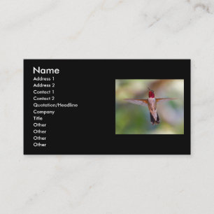 profile or business card, hummingbird card