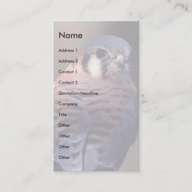 profile or business card, kestrel card (Front)