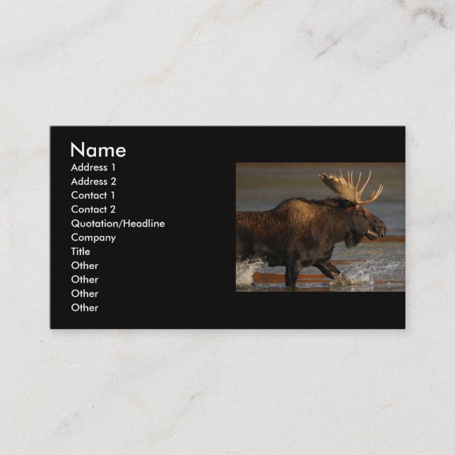 profile or business card, moose business card (Front)