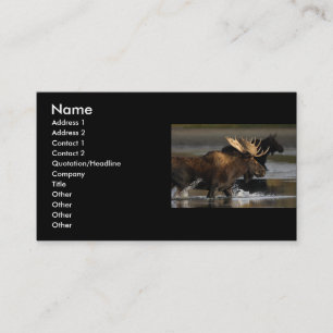 profile or business card, moose splash card