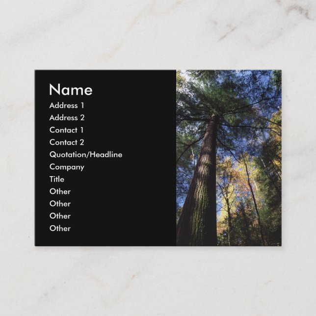profile or business card, old growth business card (Front)
