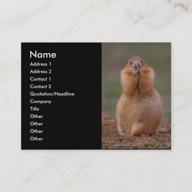 profile or business card, prairie dog business card (Front)