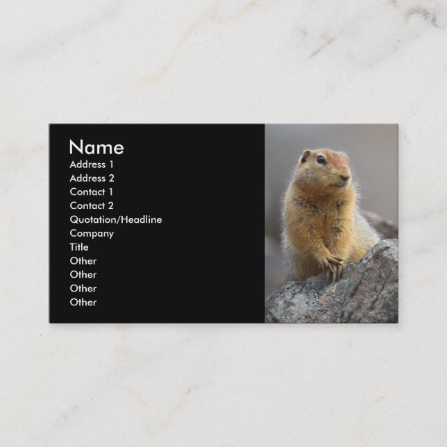 profile or business card, squirrel card (Front)