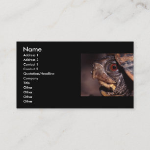profile or business card, turtle business card