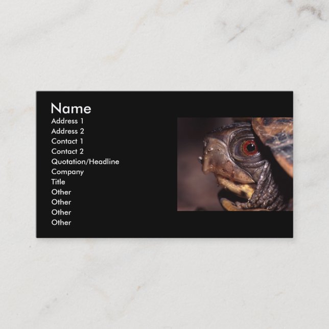 profile or business card, turtle card (Front)
