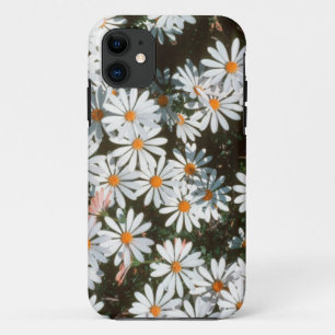 Profusion Of White Daises (Asteraceae) iPhone 11 Case