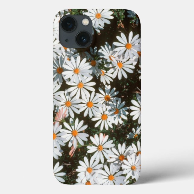 Profusion Of White Daises (Asteraceae) Case-Mate iPhone Case (Back)