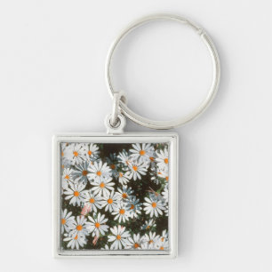 Profusion Of White Daises (Asteraceae) Key Ring