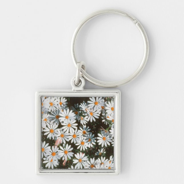 Profusion Of White Daises (Asteraceae) Key Ring (Front)