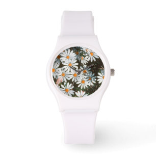 Profusion Of White Daises (Asteraceae) Watch