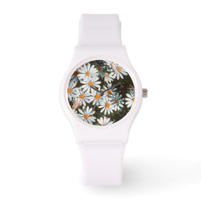 Profusion Of White Daises (Asteraceae) Watch (Front)