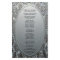 Program | Metallic Etched Silver Look