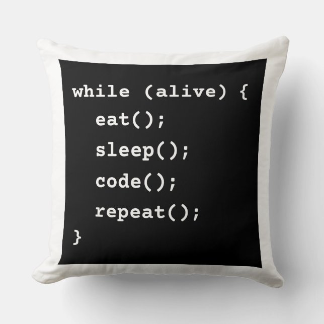 Programmer Life Cycle Loop (while loop) Cushion (Front)
