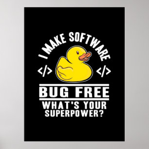Programmer Make Software Bug Free Poster
