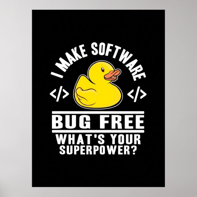 Programmer Make Software Bug Free Poster (Front)