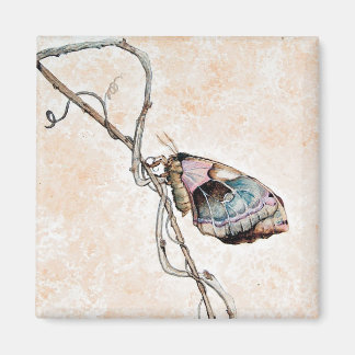 Promethea Moth Magnet
