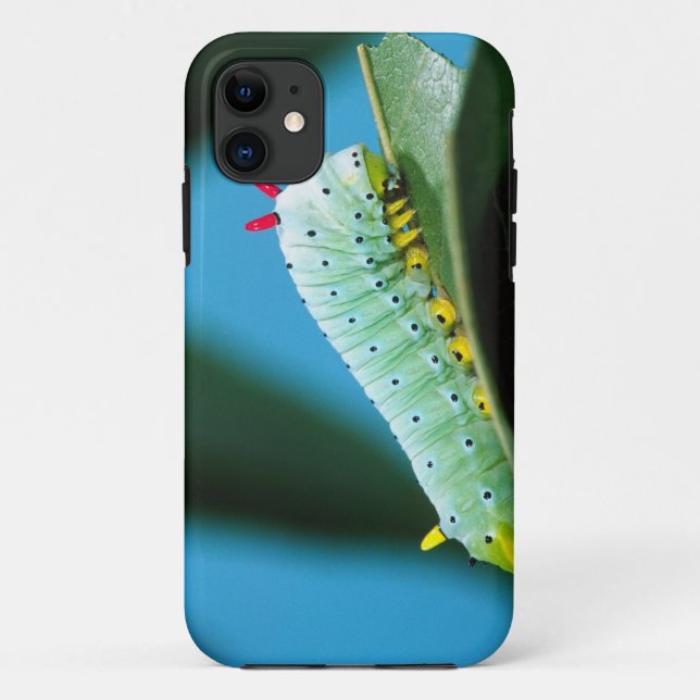 Prometheus Moth Caterpillar, Callosamia Case-Mate iPhone Case (Back)