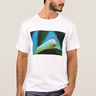 Prometheus Moth Caterpillar, Callosamia T-Shirt