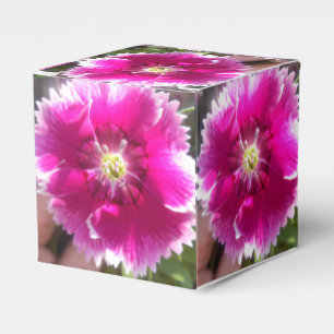 Promise Favour Box