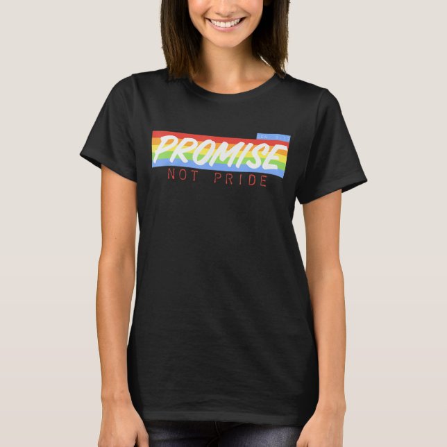 Promise Not Pride Gay LGBT Flag T-Shirt (Front)