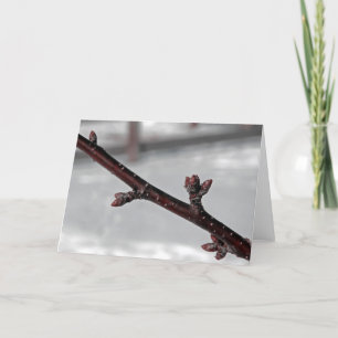 Promise of Spring Card