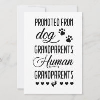 Promoted from dog grandparents to human, pregnancy