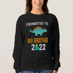 Promoted To Big Brother 2022 Boys Stegosaurus Dino Sweatshirt