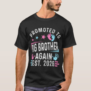Promoted To Big Brother Again Est. 2026 Vintage Bi T-Shirt