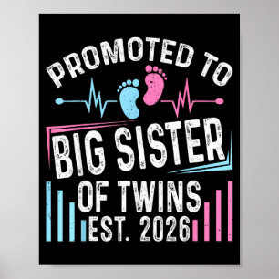 Promoted To Big Sister Of Twins Est 2026 Baby Show Poster