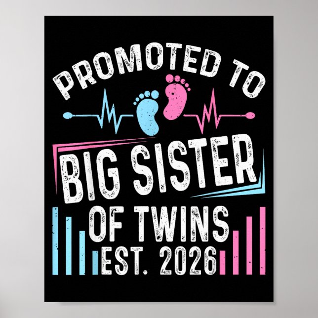 Promoted To Big Sister Of Twins Est 2026 Baby Show Poster (Front)