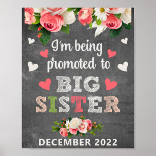 Promoted to Big Sister Pregnancy Announcement Poster