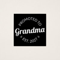 Promoted To Grandma Est 2027 New Nana I