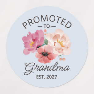 Promoted To Grandma Est 2027 New Nana VI