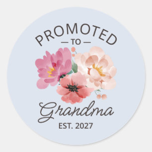 Promoted To Grandma Est 2027 New Nana VI Classic Round Sticker