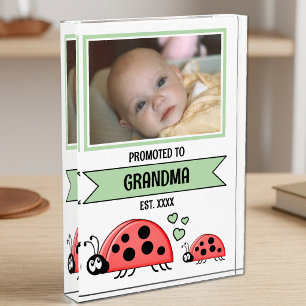 Promoted to grandma ladybugs green photo block