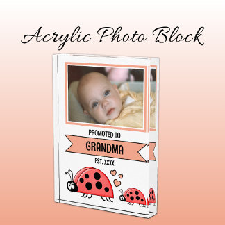Promoted to grandma ladybugs peach photo block