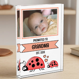 Promoted to grandma ladybugs peach photo block