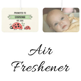 Promoted to grandma ladybugs photo green car air freshener