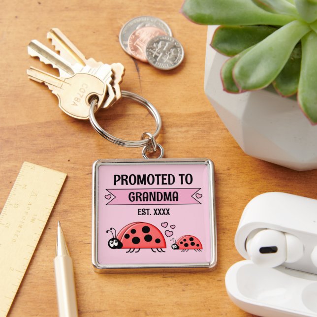 Promoted to Grandma ladybugs pink Key Ring (Desk)