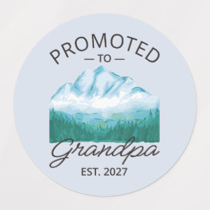 Promoted To Grandpa Est 2027 New Papa VI