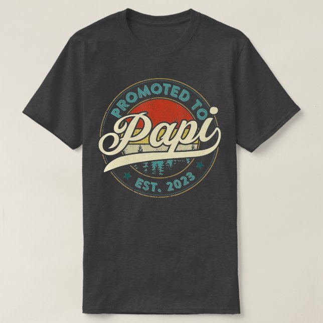 Promoted to Papi Est 2023 Pregnancy Funny Gift Wom T-Shirt (Design Front)