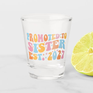 Promoted To Sister Est 2027 Big Sister Shot Glass