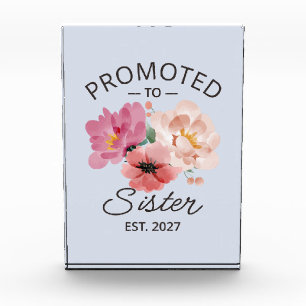 Promoted To Sister Est 2027 Big Sister VI Photo Block