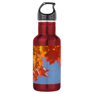promotional Colourful Autumn Leaves 532 Ml Water Bottle