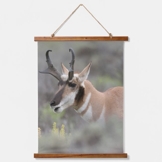 Pronghorn Antelope Buck | Grand Tetons Hanging Tapestry (Front)
