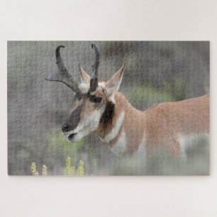 Pronghorn Antelope Buck   Grand Tetons Jigsaw Puzzle